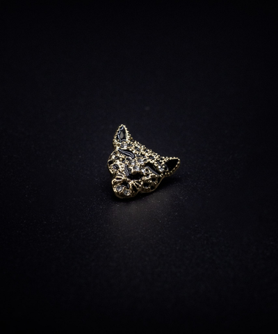 CHARM DE LEOPARDO