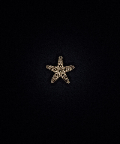 CHARM ESTRELLA DE MAR