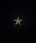 CHARM ESTRELLA DE MAR