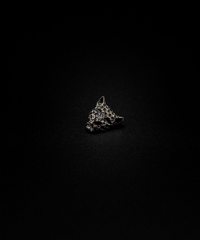 CHARM DE LEOPARDO