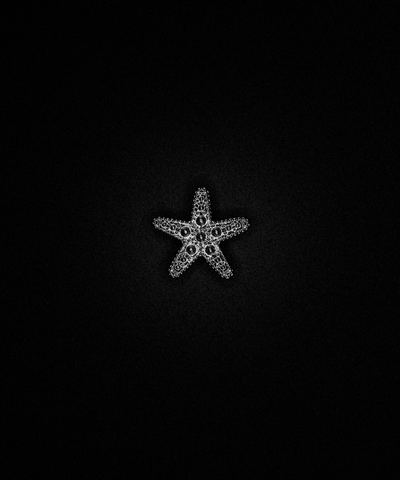 CHARM ESTRELLA DE MAR