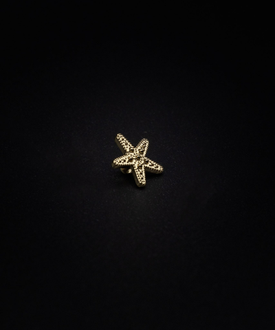 CHARM ESTRELLA DE MAR